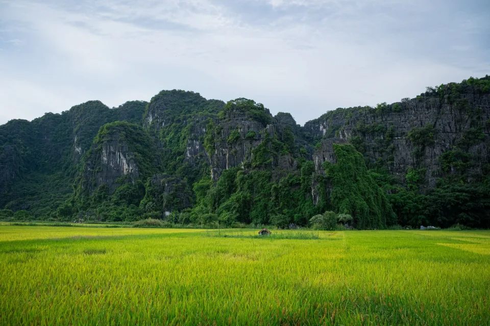 Kho gạo của Trương Công Hoanh